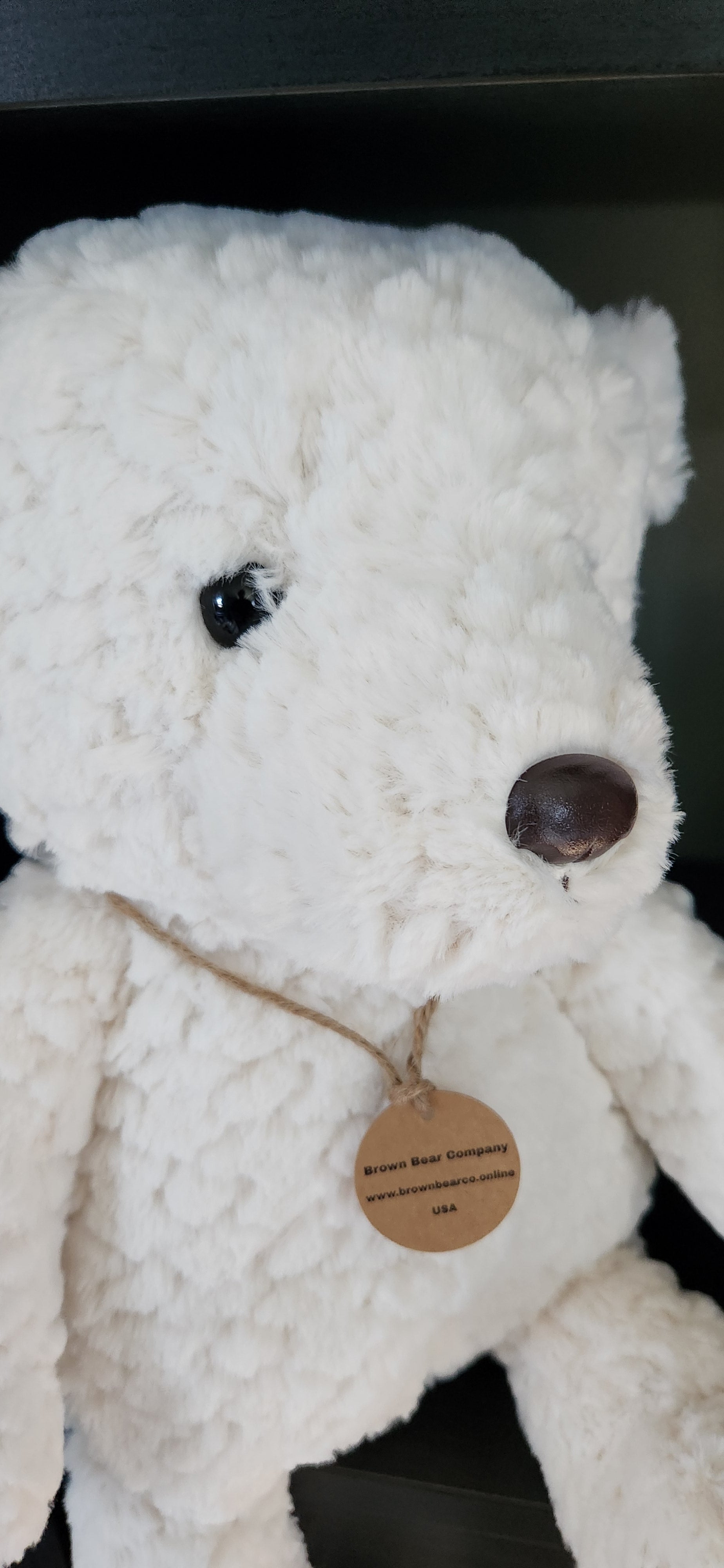 Teddy Bear-white bear