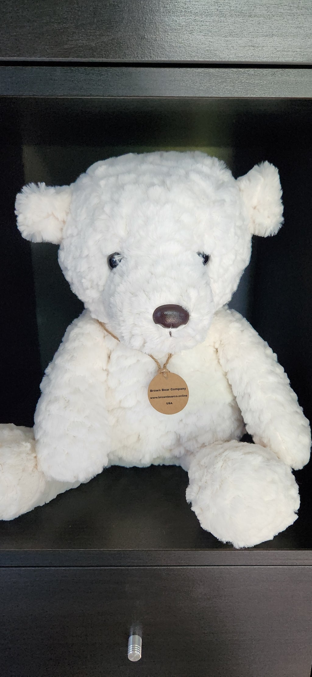 Teddy Bear-white bear