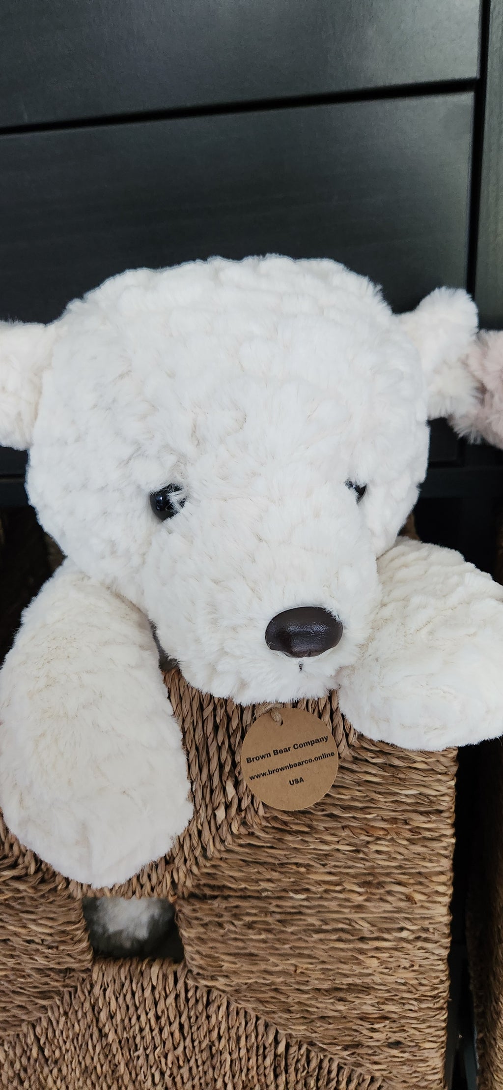 Teddy Bear-white bear