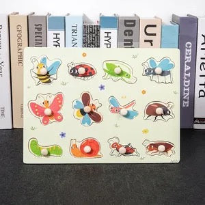 Wooden Peg Puzzle toy-insects